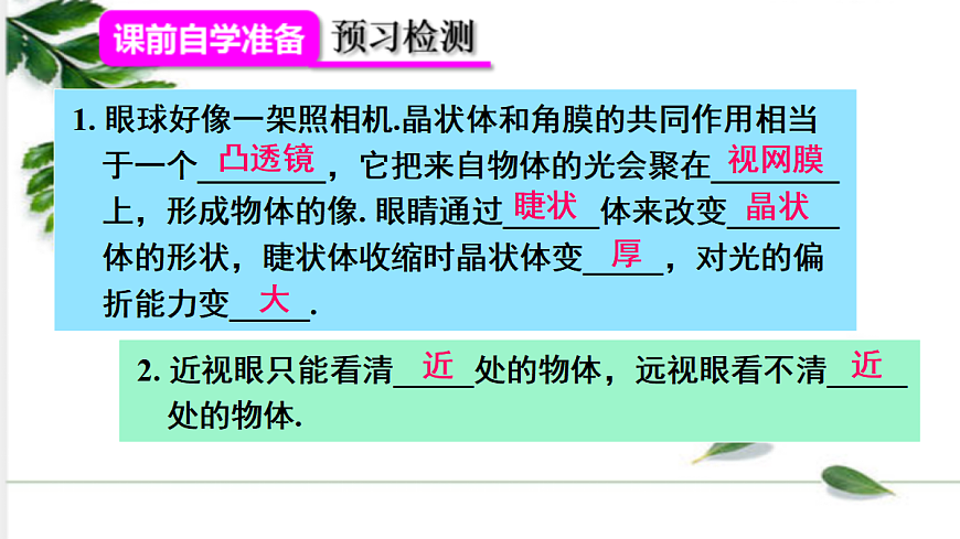 17285066第3页