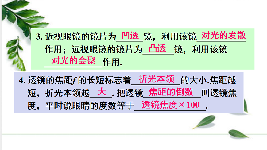 17285066第4页