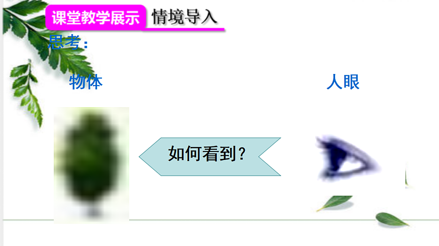 17285066第5页