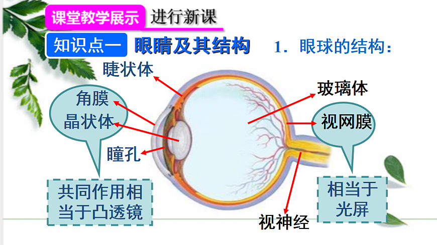 17285066第6页