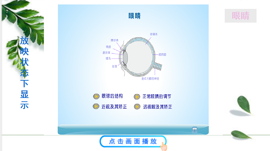 17285066第7页