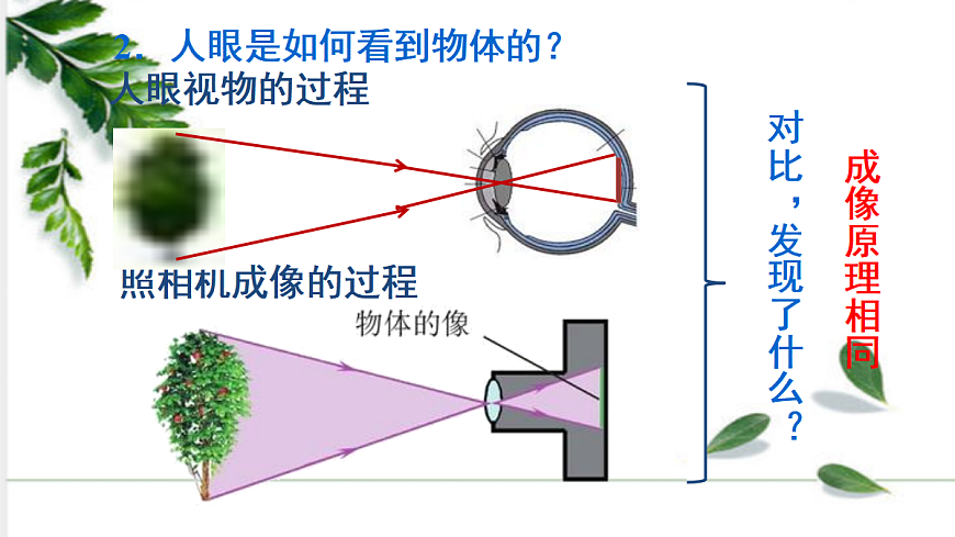 17285066第8页
