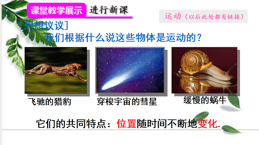 17285146第5页