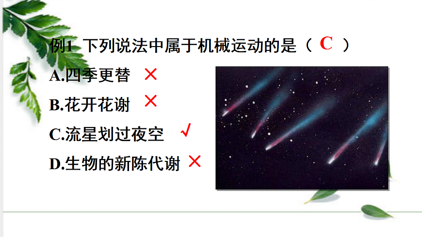 17285146第8页