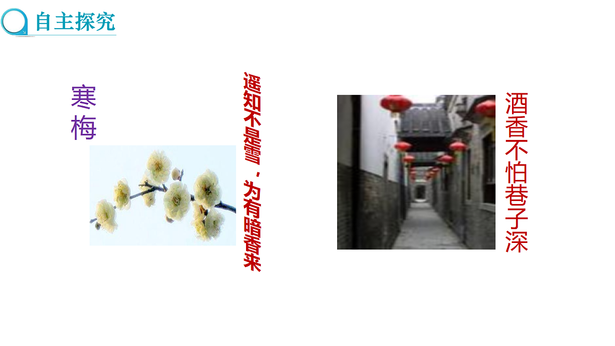 17285159第3页