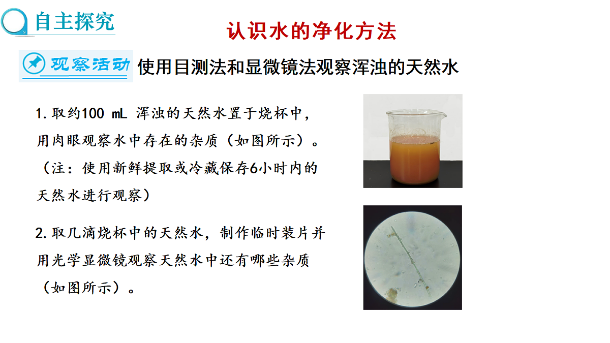 17285172第3页