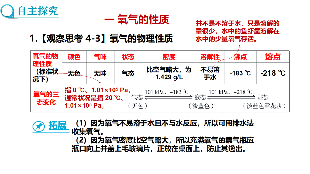 17285197第3页