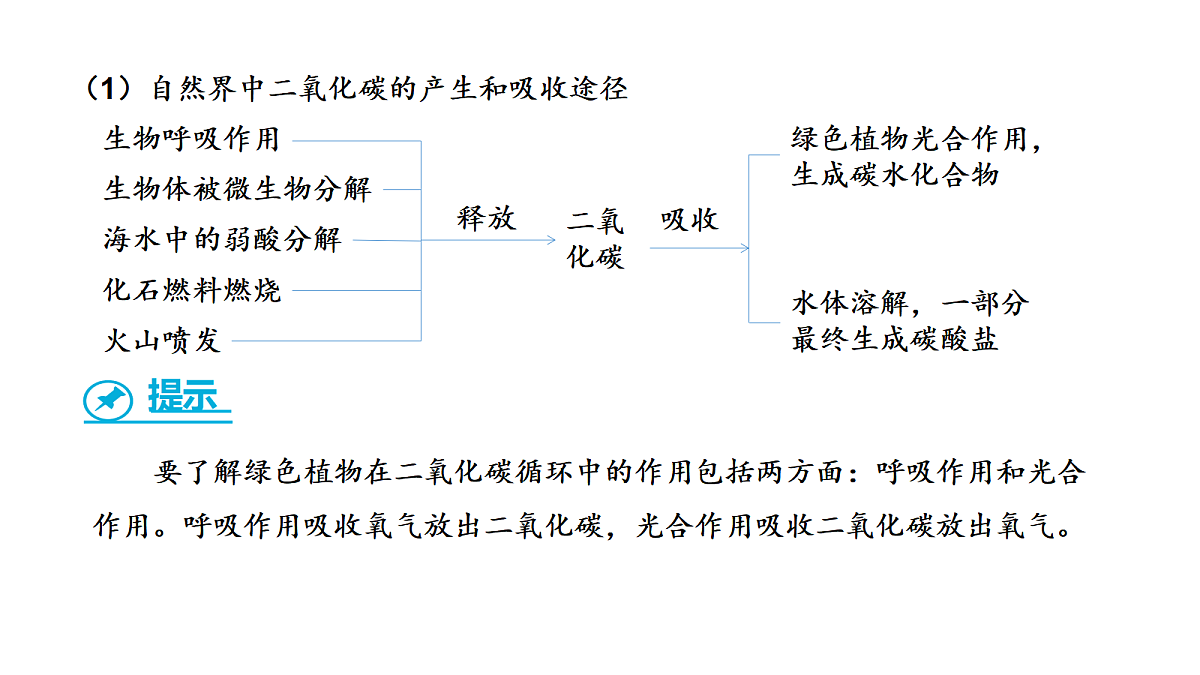 17285211第5页
