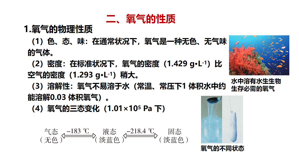 17285219第4页