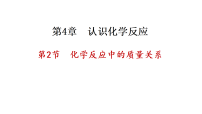 化学九年级上册（2024）化学反应中的质量关系图文ppt课件