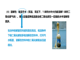 5.1 二氧化碳的性质与用途 第1课时 (课件)-2025-2026学年九年级化学沪教版(2024)上册