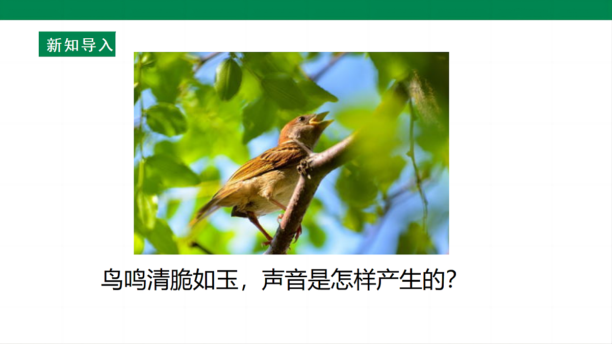 17285248第5页