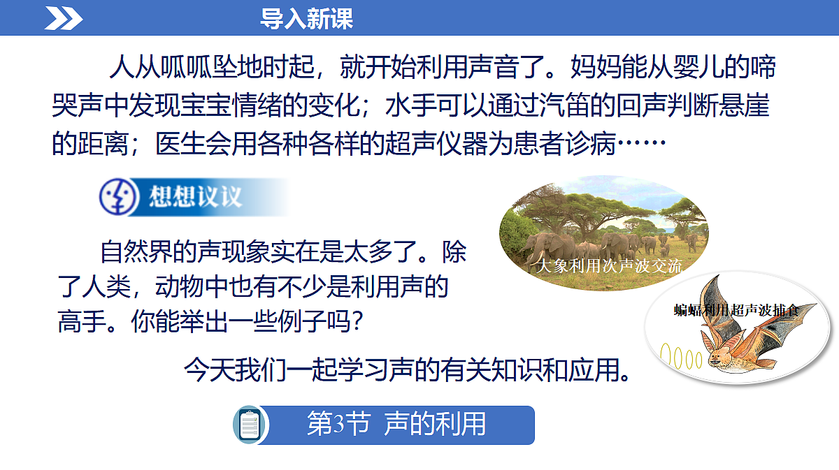 17285388第7页