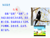 统编版一年级语文上册教学课件《9 乌鸦喝水》