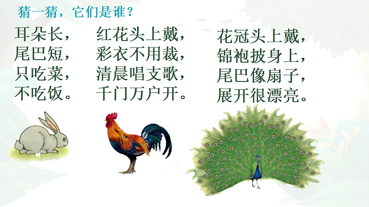 17285434第2页