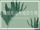 人教版生物七年级上册1.1.1《观察周边环境中的生物》课件