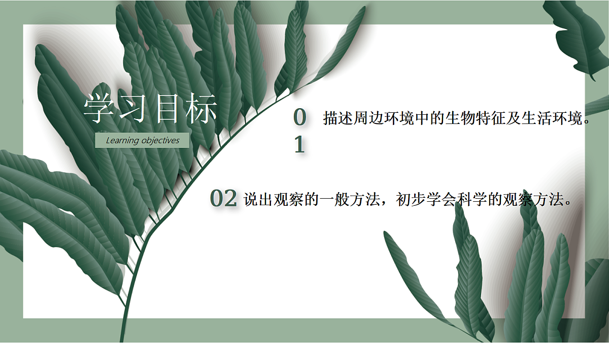 17285459第2页