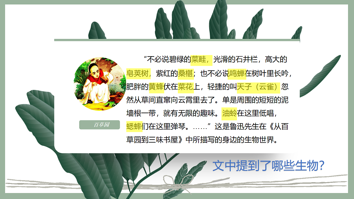 17285459第3页