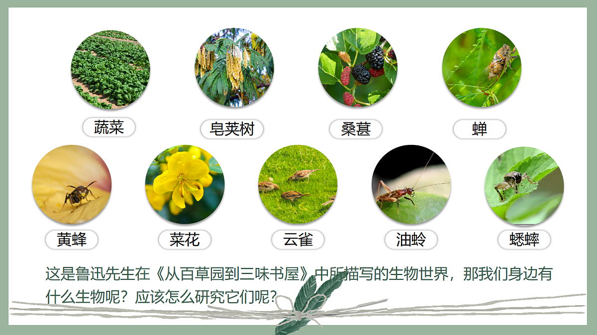 17285459第4页