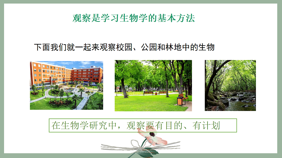 17285459第8页