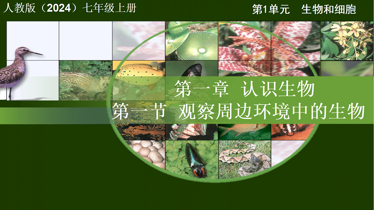 17285460第1页