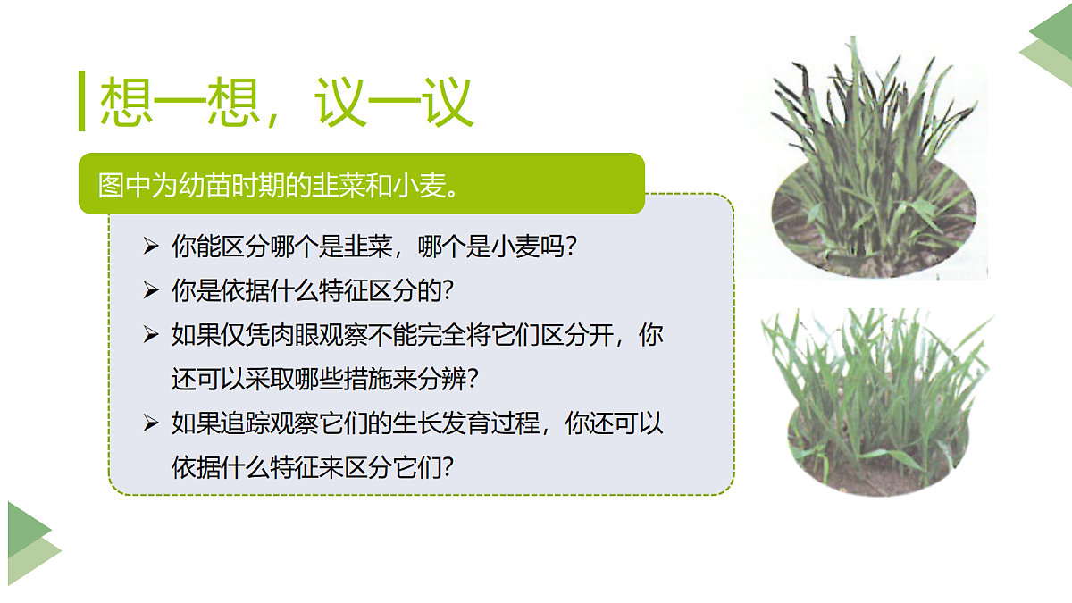 17285460第2页