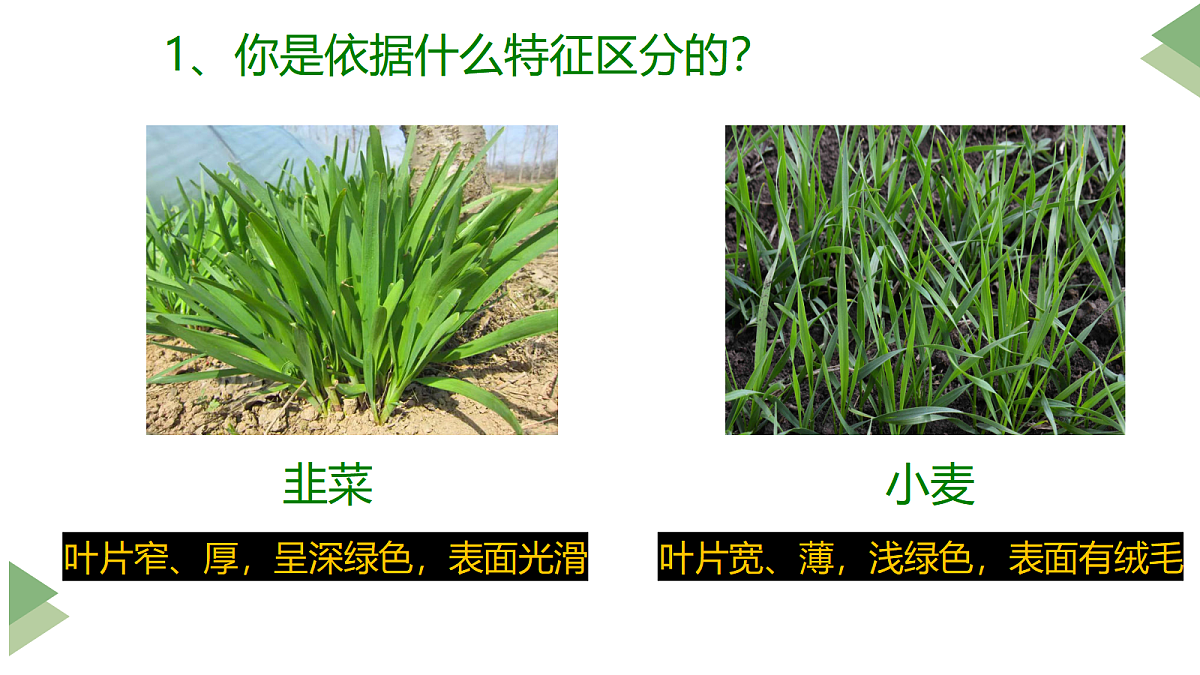 17285460第3页