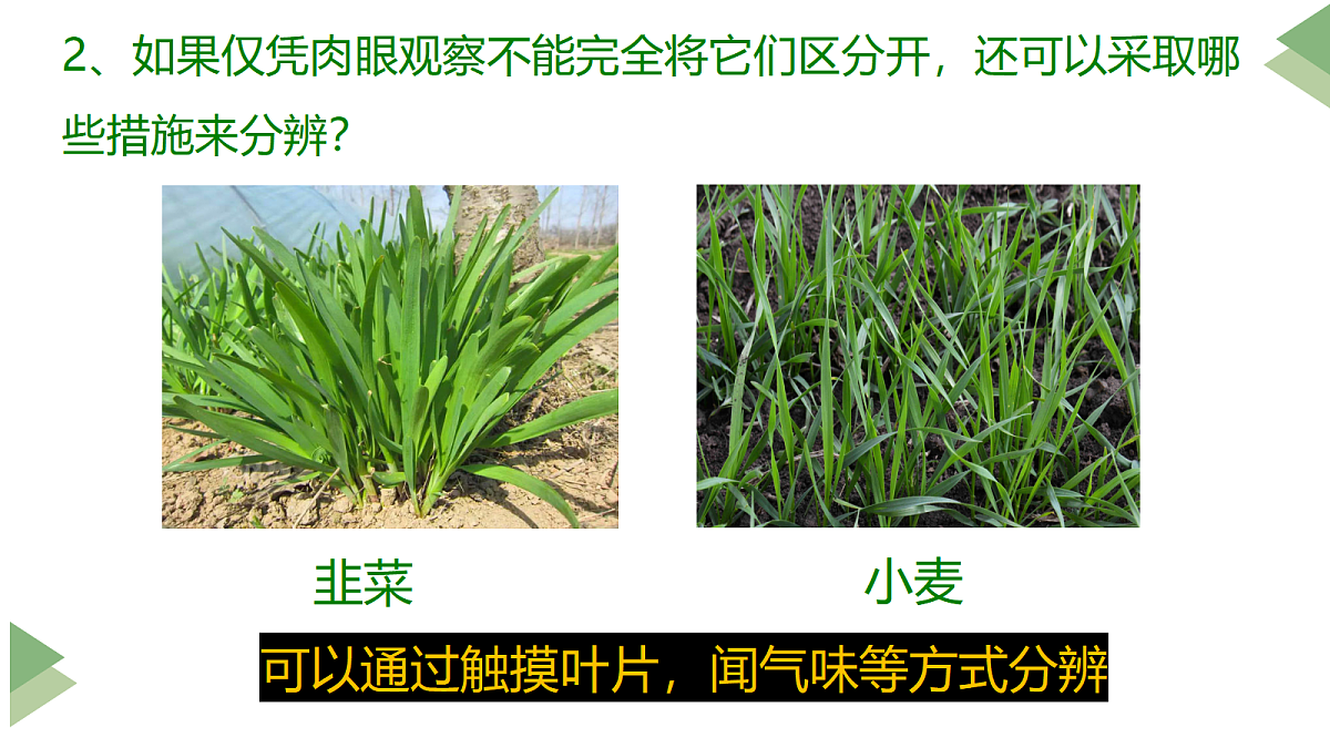 17285460第4页