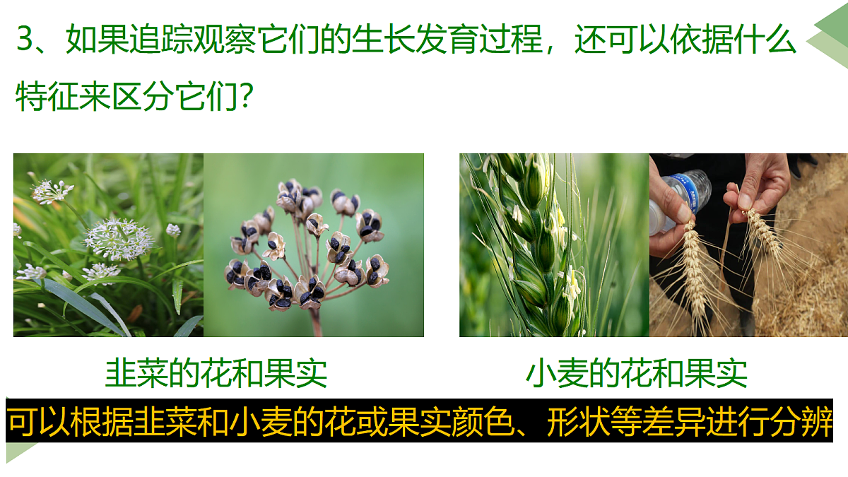 17285460第5页