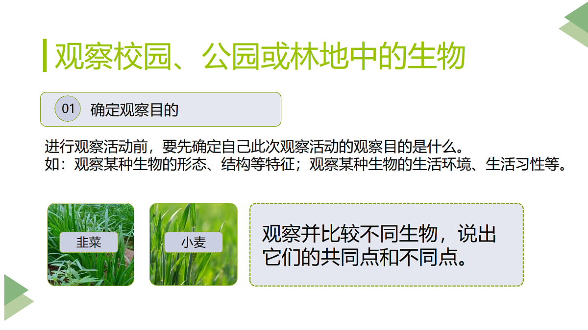 17285460第8页