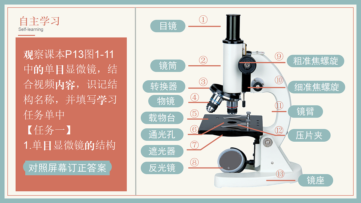 17285461第4页