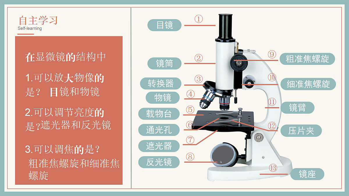 17285461第5页