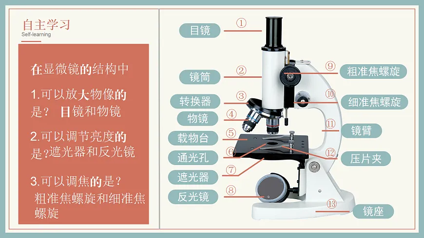 17285461第5页