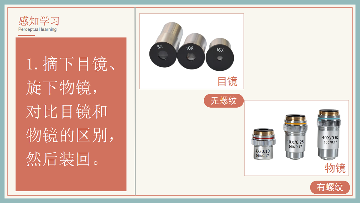 17285461第7页