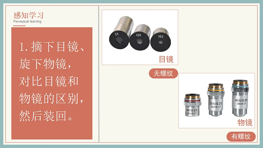 17285461第7页