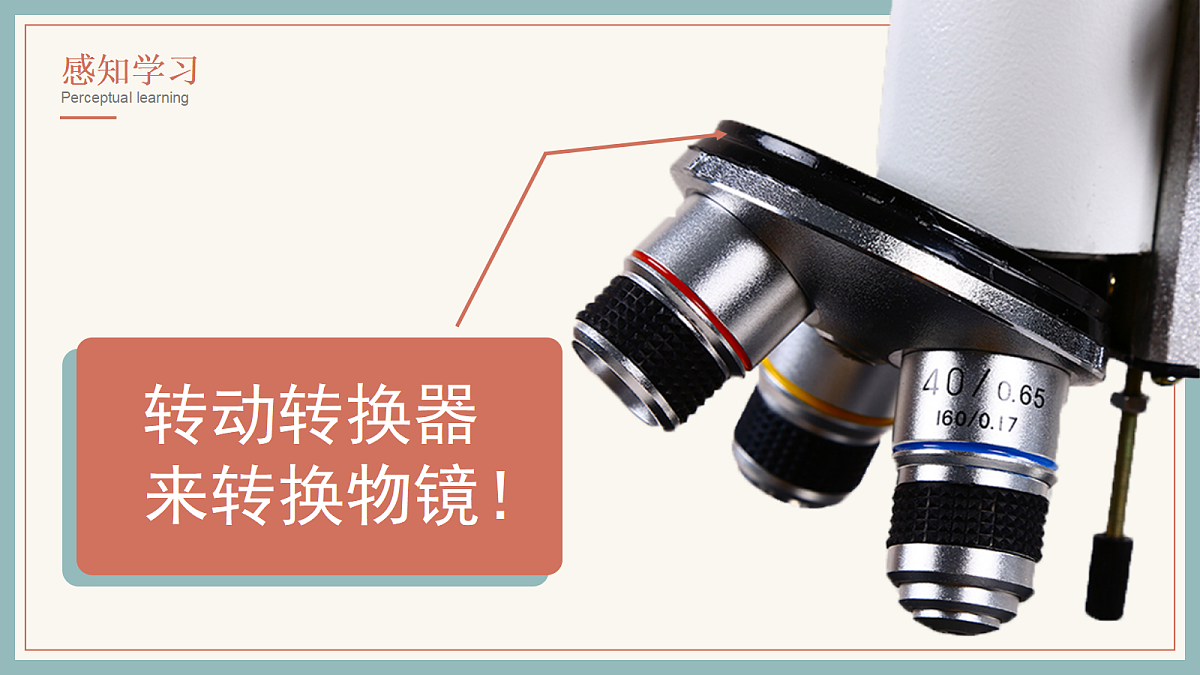 17285461第8页
