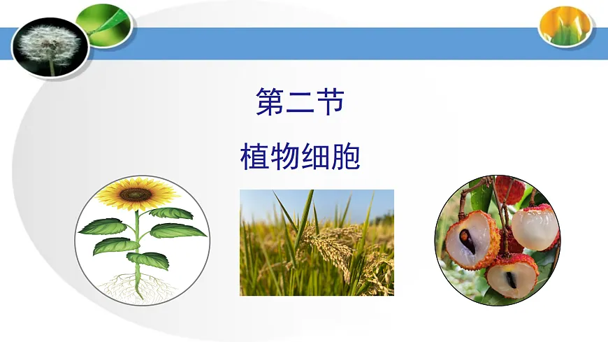 17285462第1页