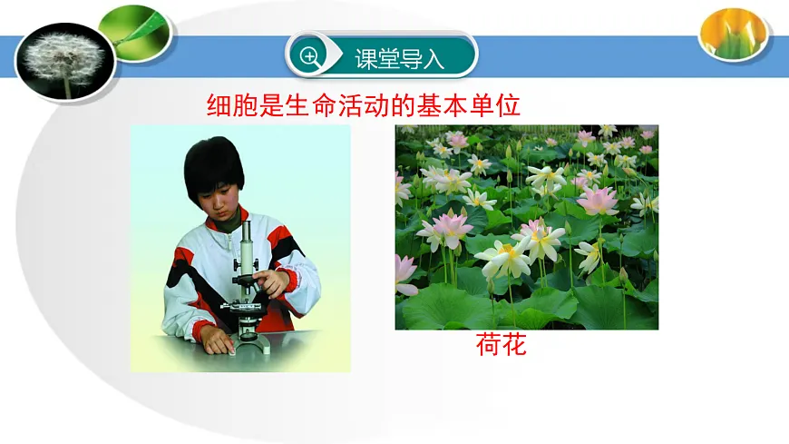 17285462第2页
