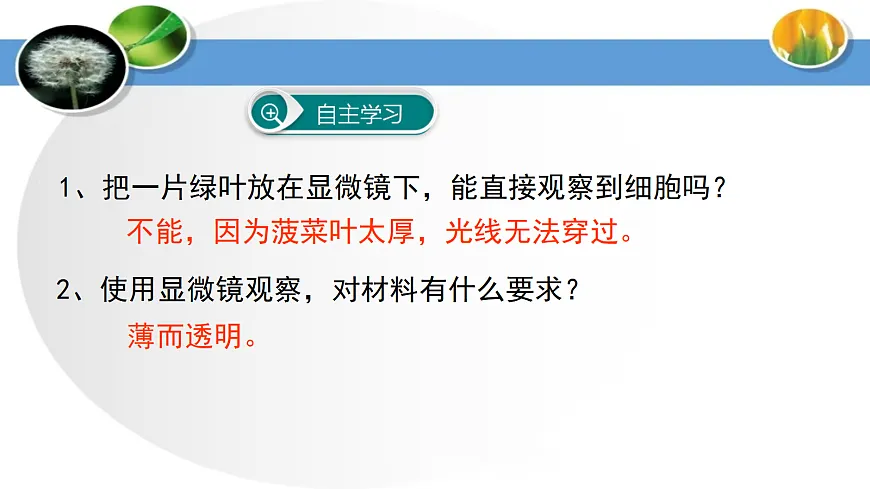 17285462第3页
