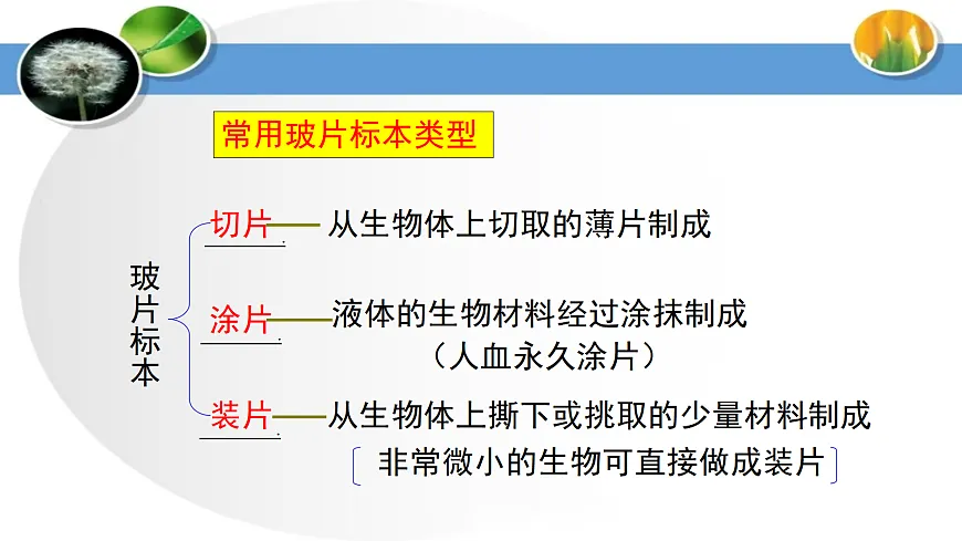 17285462第4页