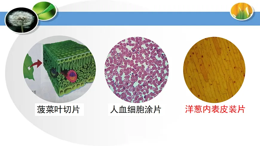 17285462第5页