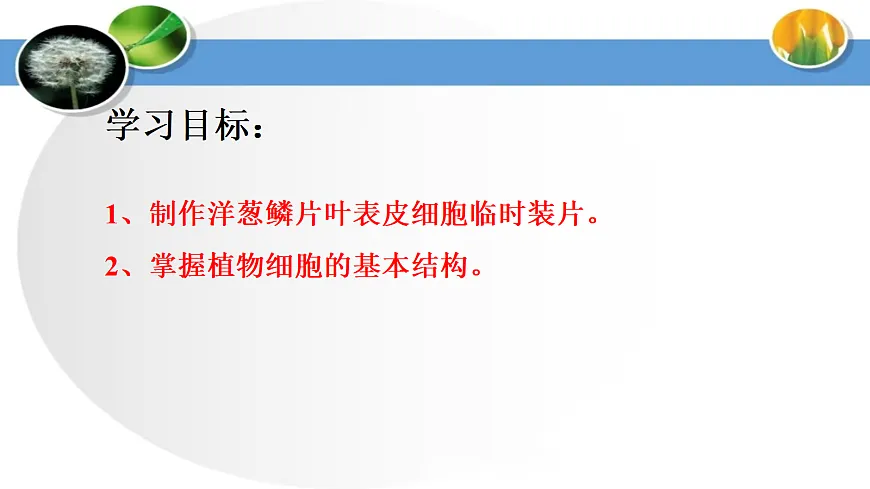 17285462第6页
