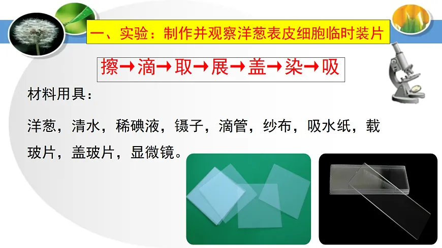 17285462第7页