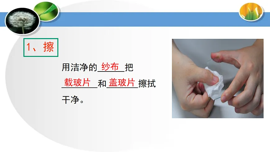 17285462第8页