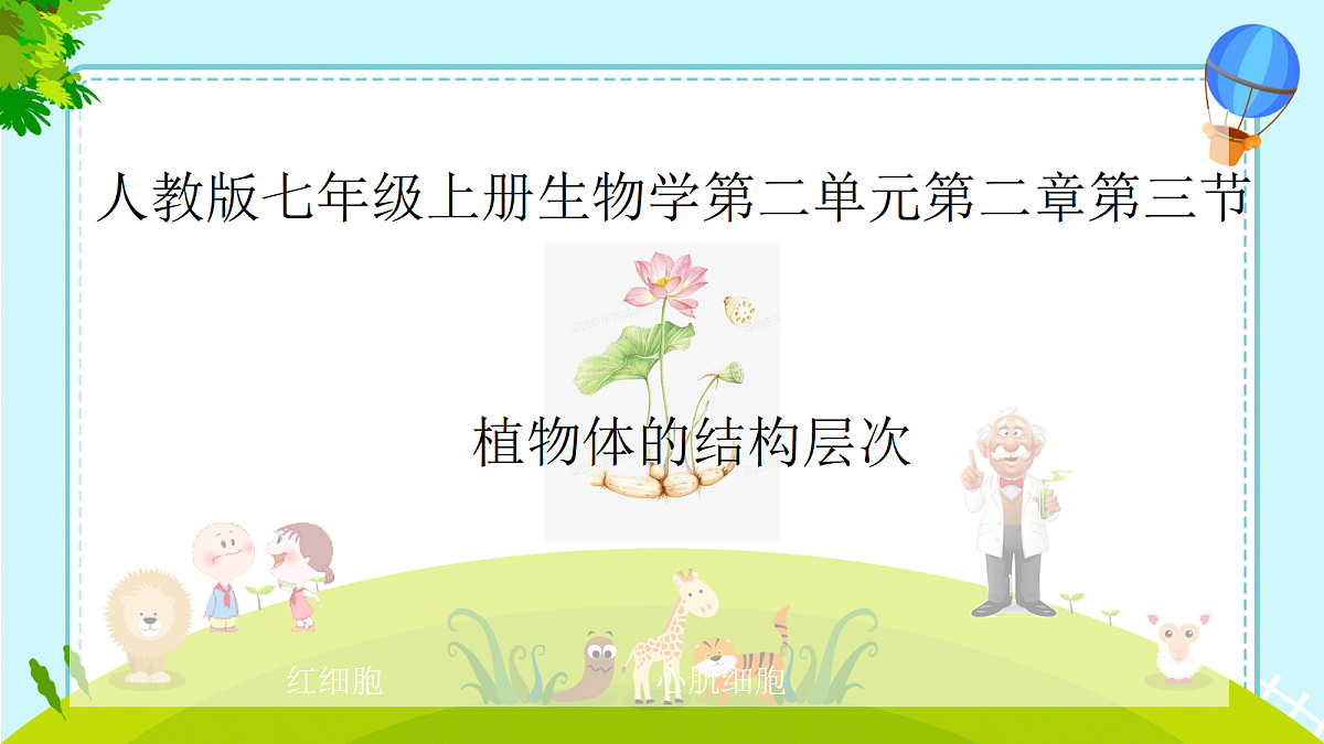17285464第1页