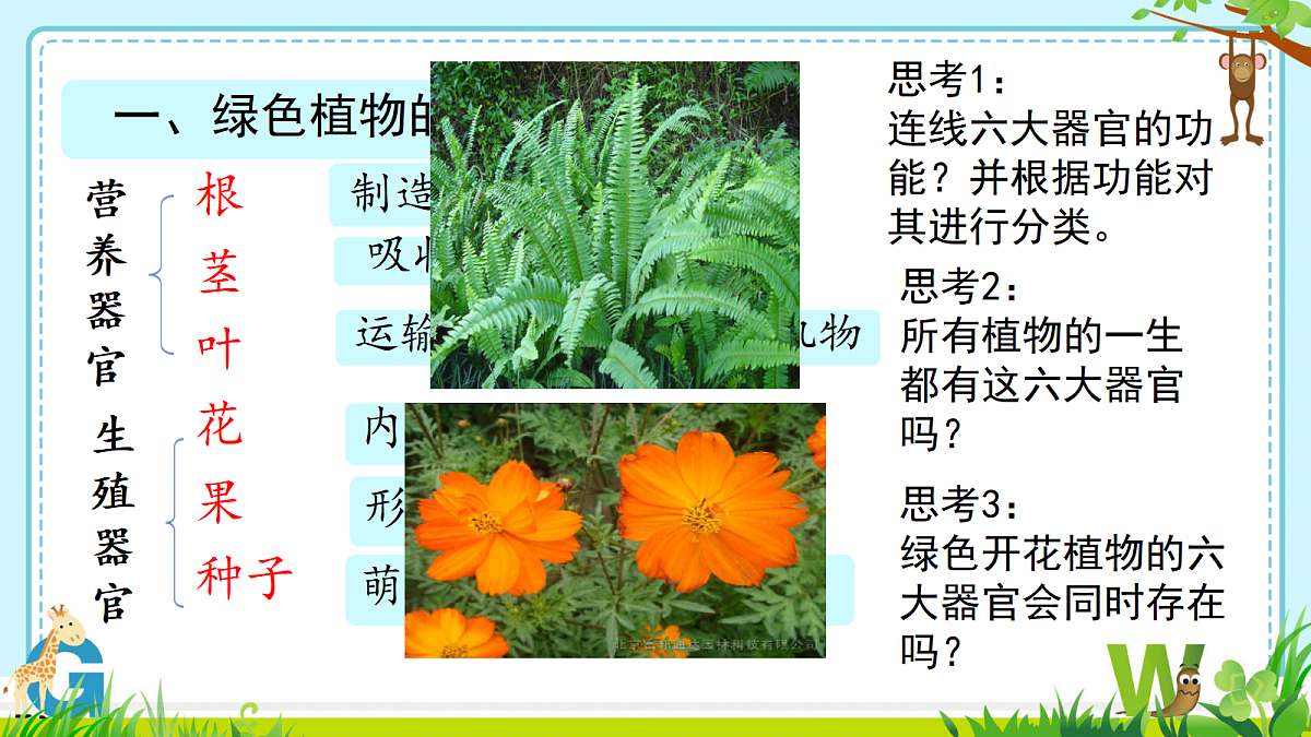 17285464第5页
