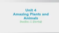 初中英语人教版(2024)八年级上册(2024)Unit 4 Amazing Plants and Animals Section A备课课件ppt
