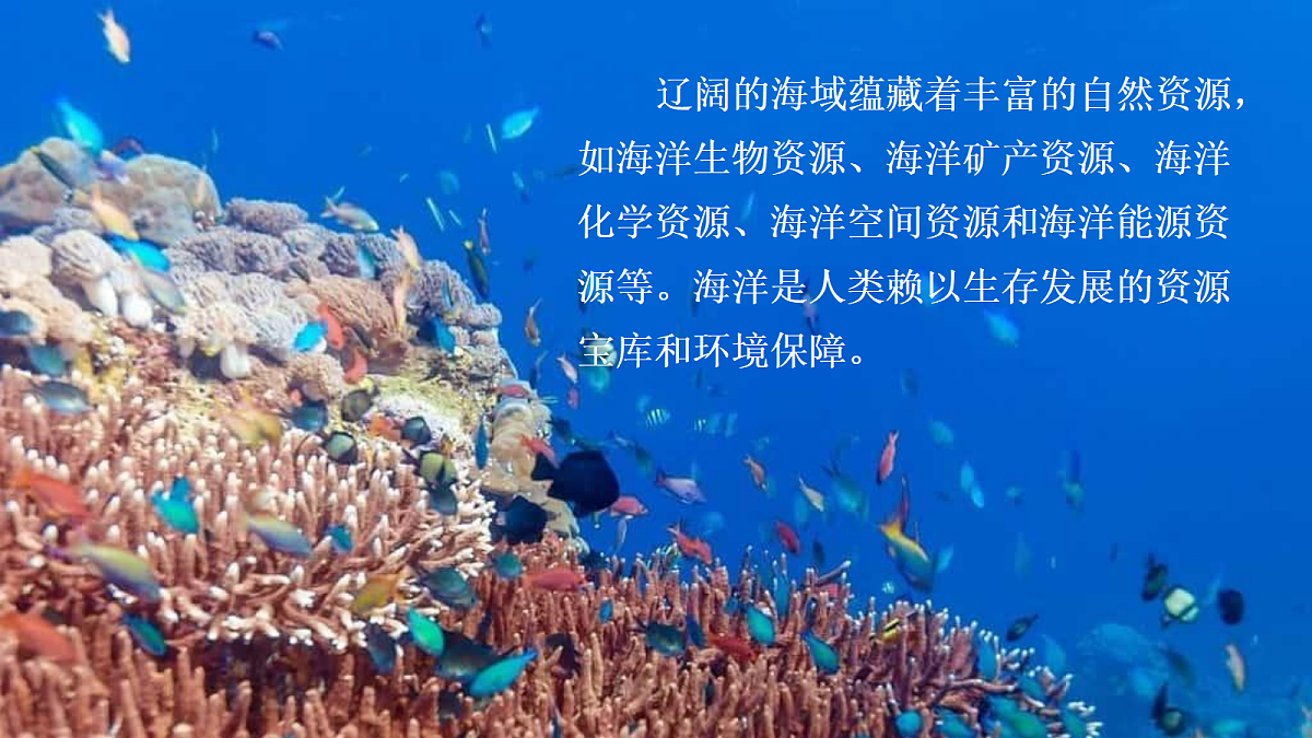 17287176第5页
