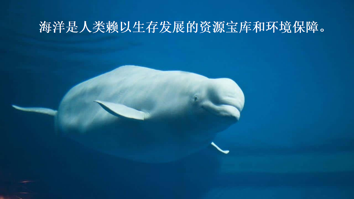17287176第6页