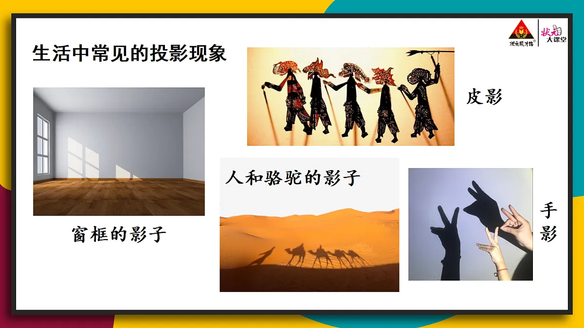 17287331第3页